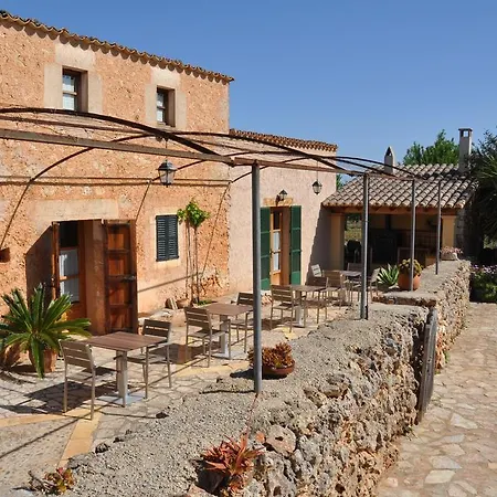 Porreti Lloret de Vistalegre