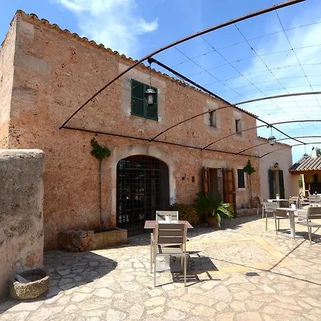 Porretí Lloret de Vistalegre